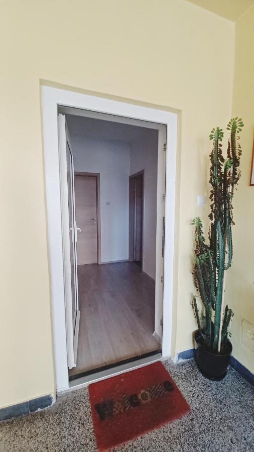 Apartman Dora Appartement Pula Buitenkant foto